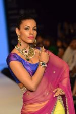 Model walks the ramp for Kriplani & Sons Show at IIJW Day 4 on 22nd Aug 2012 (62).JPG